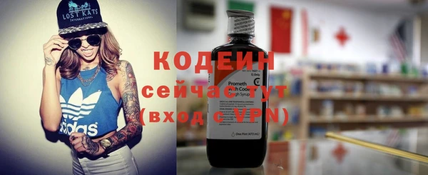 молекула духа Ростов