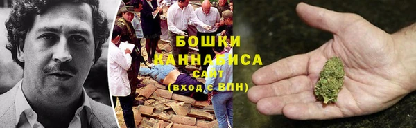 молекула духа Ростов