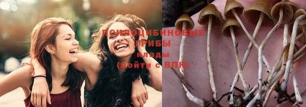 дживик Рославль