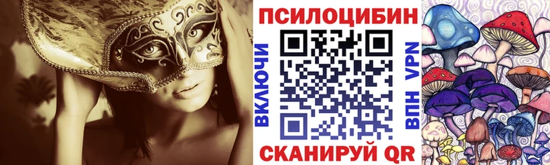 Купить где  Кропоткин  Галлюциногенные грибы мицелий 